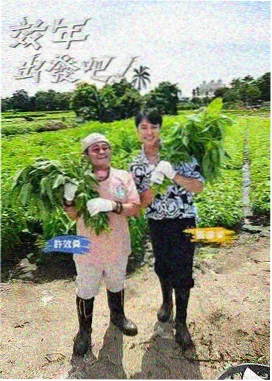 深夜食帖 美食纪实综艺海报